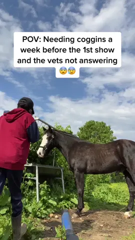 If you wait too late, you gotta pay extra for the order to be rushed.                                                                   #fyp #fypシ゚viral #trending #funny #horses #vet #ponies #horseshow #horselife #equestrianproblems #funnyskits #horsetok #barrelracer #englishriding #showjumping #horseridingfails #vetech  