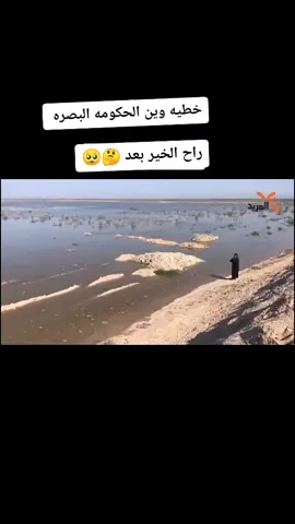 #وين#مشاهير_تيك_توك #البصرة #العراق🇮🇶 