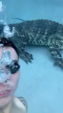 Who is joining #OscarValdez in this pool? 🐊 #sports #boxeo #pettok 