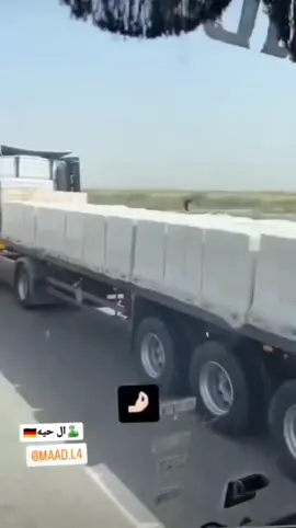 فنهم يلاكونه وعلي #الشمري🚸🌿 #اني_بزودي_ارتفع_محد_يعليني #تاج_راسكم @مصطفى عادل @مصطفى مقداد الشمري 