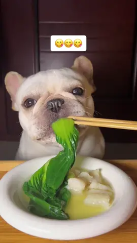 Eat with tiktok #fyp #foryoupage #french #frenchbulldog #frenchie #puppy #puppylove #dogsoftiktok #pet #cute #asmr #delicious #food #eating #foryou #fyp #englishbulldog #tiktokpets