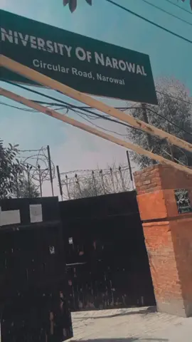 #Amir Malik# Malik bro @🦅 M I A N 👑 