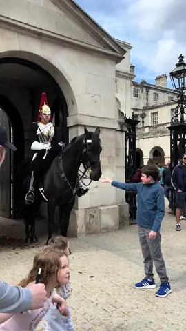 #thekingsguard #horseguardsparade #kingsguard #royalguard  #buckinghampalace #royalfamily #kingcharlesiii #tourist #foryoupage #trendingnow #horse #horsetiktok #viral 
