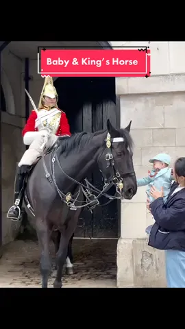 #lifeguards #foryoupage  #tiktokviral #viraltiktok #viralvideo #videoviral #follow #subscribe #like #share #bestvideo #fypviral #horseguardsparade #changingoftheguards #royalguards #thekingsguards #kingsguard #kingshorse #fyp #foryou #fypシ #fanpage 