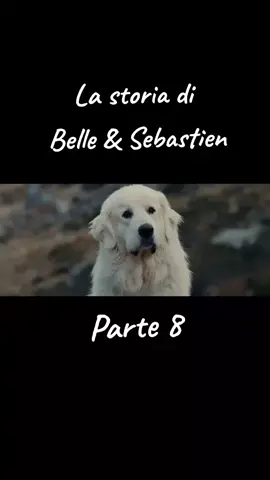 #parati #viral #fyp #foryou #foryoupage #movieclips #Film #clip #clips #filmclips #movie #life #actor #Love #belleesebastien #dog #dogs #dogsoftiktok  #dogslove #pet #pets 