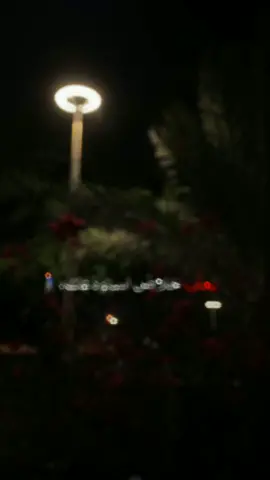 #يعني_خلاص_استودعك   #tok #tik #virial #foryou #تيك_توك_أطول#foryou#fyp #fypシ #tiktoklongs #قعيد_ 