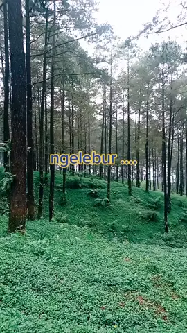 #tiktokpurbalingga #perwira #banjarancity 