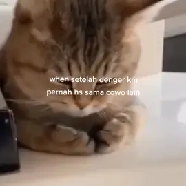 nyesek anjg #fyp #4u 