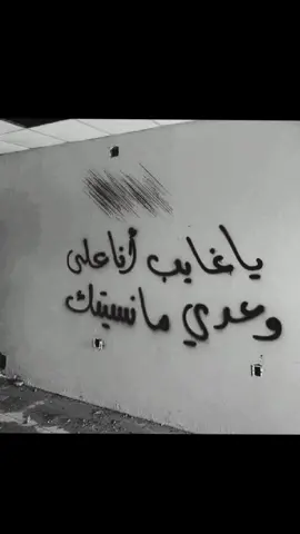 #يا_غايب_انا_على_وعدي_ما_نسيتك 👋🏻❌#كريشان_✈_✘ #عباراتكم_الفخمه📿📌 #كلمه_منك😌💤 #لايك #viral #expression #fypシ #اكسبلورexplore #xyzbcafypシ #humor #greenscreen #xyzbca #anime #kpop #edit #stitch 