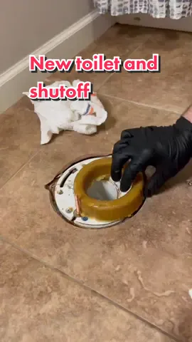 New American Standard cadet pro toilet with new quarter turn shutoff 👍🏻 #Plumber #BlueCollar #Plumbing #HandToolsOnly #Viral #Work #PlumbingLife #toilet #DIY #homerepair #howto 