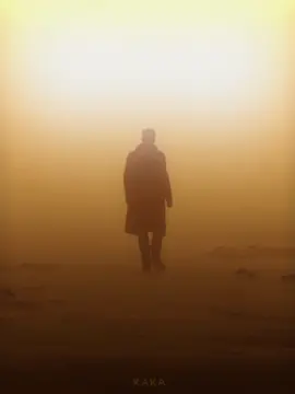 you look lonely.. #bladerunner2049 #edits #editsx #ka7aedits #film #filmtok 