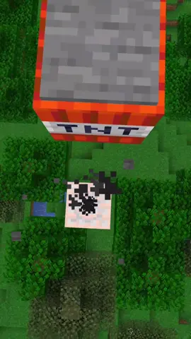 Minecraft Satisfatório #Minecraft #minecrafter #minecraftmemes #minecraftedits #viral 