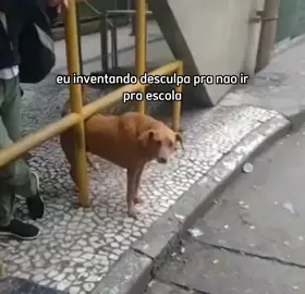 eu todo dia kkk #fy0pシ #virlavideo #memestiktok #viralditiktok #memevídeo #naoflopa #memes #memesbrasil #memesbr #aleatoriamente #MemesEngraçados #CachorroMeme #cachorro 