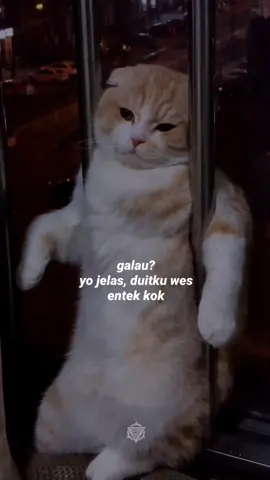 galau poll 😂 #pensiunanwongsangar 