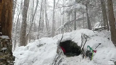 Bushcraft 015 #bushcraft  #camp  #camping  #survival  #shelter  #wildlife  #Outdoors  #viral  #fyp  #foryou