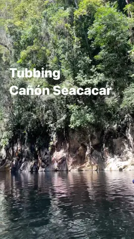 El tubbing más bonito y relajante que he hecho lo encuentras en @reserva_natural_seacacar. Ubicado en El Estor, Izabal. Podrás disfrutar de un momento relajante mientras observas la naturaleza y también un poco de adrenalina en algunas partes que el río se pone un poco rápido.  Para llegar puedes ir hasta la “Reserva Seacacar” o también al balñeario “El boquerón” los cuales encuentras en Google Maps y desde ahí empezar esta actividad. ❗️Toma en cuenta que para llegar hasta la reserva necesitarás un carro alto ya que no todo el camino está asfaltado. Los precios varían dependiendo de donde tomes el tour. #reservaseacacar #elboqueron #elboqueronizabal #izabal #izabalguatemala #tubbing #tubbingfun #tubbingadventures #lalerecomienda 