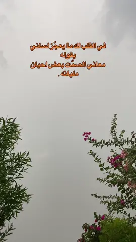 #اكسبلور #الشعب_الصيني_ماله_حل😂 #تصويري📸 #صباح_الخير 
