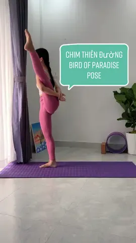 Kỹ thuật thực hiện tư thế chim thiên đường - Bird of Paradise Pose #yoga #thuyduongyogi #health #beauty #yogi 