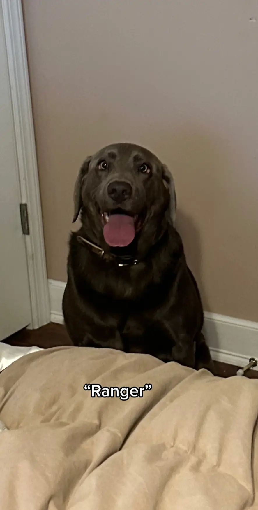 Rangerous the most dangerous boy