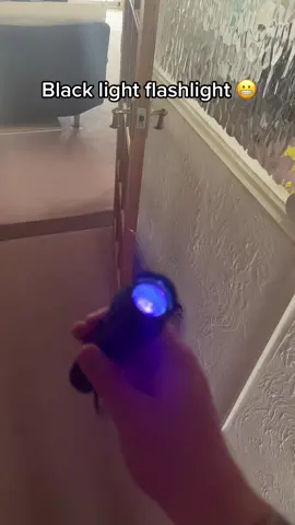 Blacklight flashlight #areacheck #fyp 