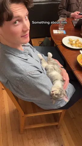 You know hes a good one if hes good with cats.  #catsoftiktok #catlover #catslove #catdaddy 
