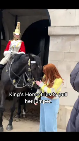 King’s Horse tries to pull her jumper. #lifeguards #foryoupage  #tiktokviral #viraltiktok #viralvideo #videoviral #follow #subscribe #like #share #bestvideo #fypviral #horseguardsparade #changingoftheguards #royalguards #thekingsguards #kingsguard #kingshorse #fyp #foryou #fypシ #fanpage #kingshorse 
