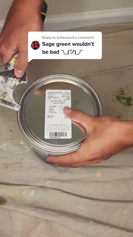 Would you pick this color? 🤔 #alecpaints #fyp #painting #color 