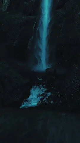 and all this love you give-someday, somehow, someplace else you will receive, and more” #sahibcaptures 