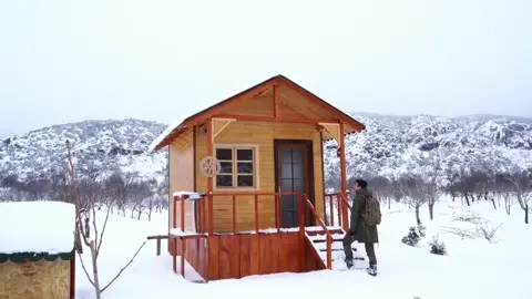 Bushcraft 023 #bushcraft  #camp  #camping  #survival  #shelter  #wildlife  #Outdoors  #viral  #fyp  #foryou