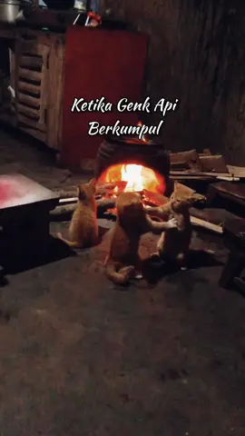 Sagi bilek 