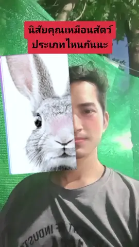 แมวแหละ 😂 #คนไทยเป็นคนตลก 