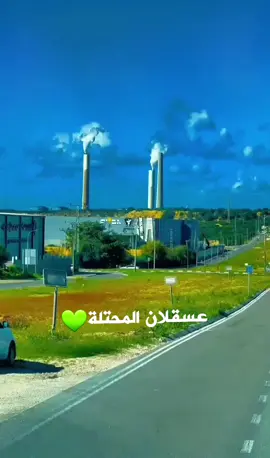 مدينة عسقلان المحتلة 💚 #CapCut #اكسبلور  #tiktok  #instagram #Love #viral #like #memes #follow #explorepage #trending #instagood #explore #music #likeforlikes #followforfollowback #funny #meme #fyp #youtube #tiktokindonesia #fashion #photography #k #tiktokdance #likes #bhfyp #tiktokindia #video #art #cute #india 