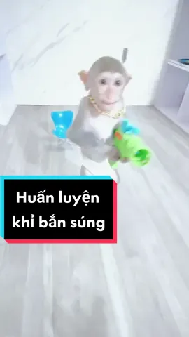 Huấn luyện khỉ bắn súng phần 2 #monkey #monkeybon ##huanluyenkhi #monkeylulu#VoiceEffects 