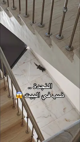 #اكسبلورexplore #رعب #ضبان 