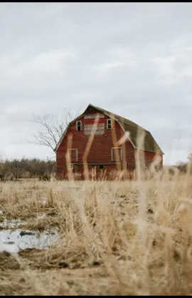 Just exploring the neighborhood #westernphotographer #cowboyphotography #ranchlife #ndphotographer 
