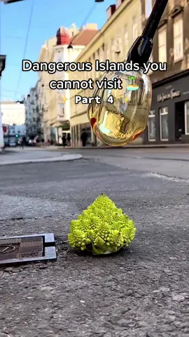 Islands That You Can’t Visit 🏝️🚫 #island #brazil #snake #viral #fyp (intro by @studio_comploj)