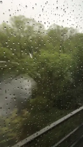 #train #rain #zug #vvs #stuttgart #view #RainyDays #RainAesthetic #RainVideos #germany 