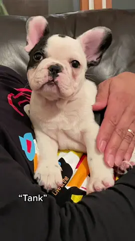 I will never get over how cute he is🥹😭 