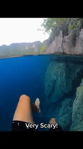Experience the eerie depths of the ocean in this creepy video! 🌊👻 From mysterious creatures to haunting underwater landscapes, this video will send chills down your spine. Dive into the unknown, if you dare! #creepyocean #underwatermysteries #haunting #oceanlife #fyp 