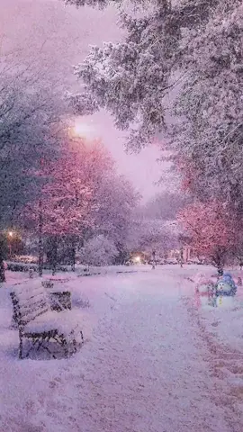 Shall we watch the snow together this winter #livewallpaper  #sky  #snow #beautifulscenery  #healingsystemscenery  #scenery  #sceneryvideos  #views  #relax  #healed  #fyp  #foryou