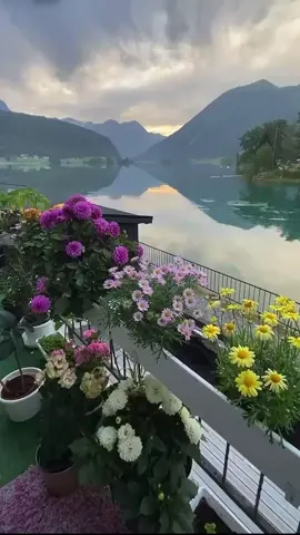 الاجواء 🇳🇴النرويجية 