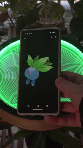 🌿🤩It's time to put some life into your decor with this oasis mini kinetic art canvas! Witness the beauty of nature come alive when it draws an Oddish Pokemon right before your eyes! 🤗This masterpiece will give your room some serious personality and capture everyone's attention. 🎨 #pokemon #CreativeArt #sandart #kineticsand #art #drawing #aesthetic #oasismini 