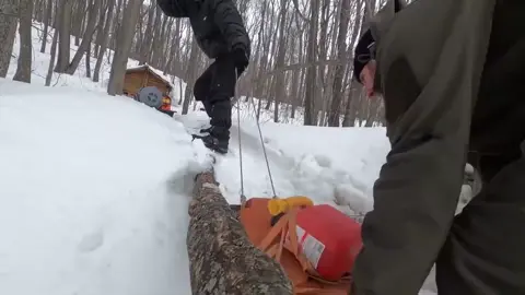 Bushcraft 029 #bushcraft  #camp  #camping  #survival  #shelter  #wildlife  #outdoor  #viral  #fyp  #foryou