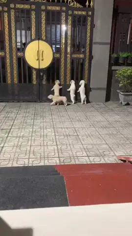 Đừng tưởng nó nhỏ mà nó hổng biết 🤓