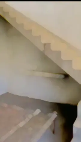 Bhai log ❤ #foryou @ARAIN❤ #andwithkashmir #100k  #haidarmughal615 