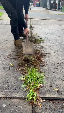But did i get all the roots? #driveway #road #StreetFashion #streetart #homeimprovement #fyp #nathanslawnsandgardens #CleanTok 