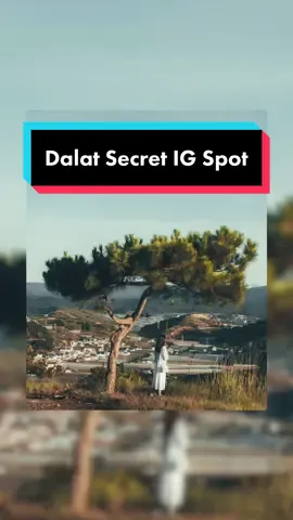 IG spot in Dalat! Definitely a beautiful spot to capture sunrise 🌅  #instagramspot #dalat #dalatcity #vietnam #vietnamtravel #dalattravel #đàlạt #thienphucduc #thienphucduchill #igspot #instagrammableplaces #instagrammable #travel #travelphotography #secretphotospot #photospot #secret #viral #fyp #foryou #foryoupage #foryourpage 