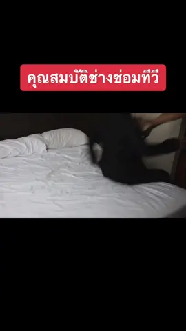 -ตรวจเช็คทีวี และซ่อมทีวี -Set ติดตั้งทีวีตามบ้านลูกค้า หรือ ถอดกลับมาที่ศูนย์ซ่อม เพื่อทำการตรวจเช็ค -เปลี่ยนบอร์ดตามบ้านลูกค้า (มีพนักงานขับรถเซอร์วิสไปด้วยทุกครั้ง) -ซ่อมบอร์ดภาคจ่ายไฟ (เรียนรู้ได้) -ซ่อม Mainboard (เรียนรู้ได้) หากไม่มีประสบการณ์ ไม่เป็นไร ฝึกสอนกันได้ ไม่จำเป็นต้องเคยทำมาก่อน ขอแค่จบสาขาอิเล็กทรอนิกส์มา #ช่างซ่อมทีวีในตํานาน #ชายแท้ #แอบแฟน #rubhimfinver 