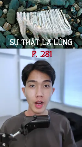 Hiện tượng này kỳ quái thật sự 😵‍💫 #caocuongvu #vulaci #hoccungtiktok #LearnOnTikTok 