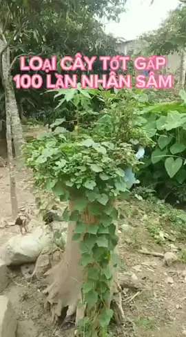 #LearnOnTikTok #xuhuong #suckhoe #suckhoechomoinguoi 